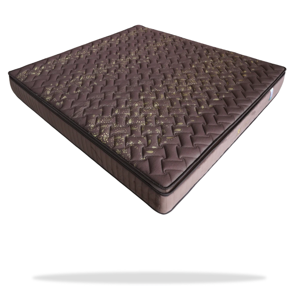 ที่นอน Wenda 3 in 1 Plus